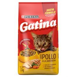 Gatina 